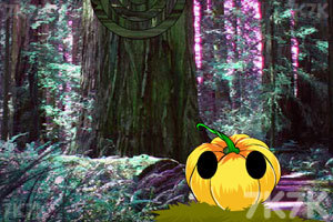 /static/3673/img/gm31566.jpg