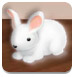 九鼎app电脑免费版