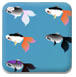 /static/3673/img/gm41950.jpg
